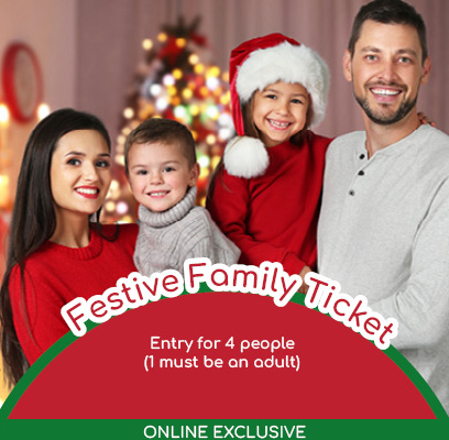Festive family ticket