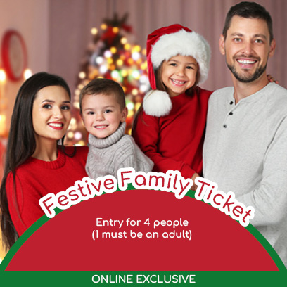 Festive family ticket