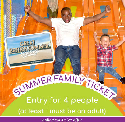 summer Family Ticket