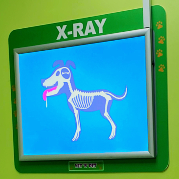 Dog x-ray