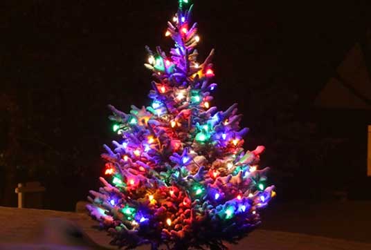 Christmas Lights Switch On