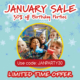 January sale 30% off parties